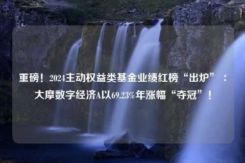 重磅！2024主动权益类基金业绩红榜“出炉” ：大摩数字经济A以69.23%年涨幅“夺冠”！