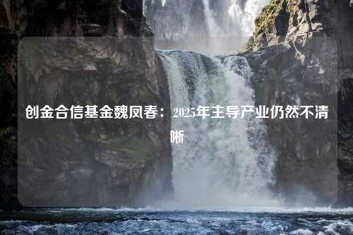 创金合信基金魏凤春：2025年主导产业仍然不清晰