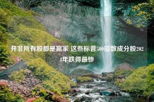 并非所有股都是赢家 这些标普500指数成分股2024年跌得最惨