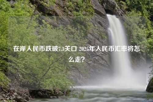 在岸人民币跌破7.3关口 2025年人民币汇率将怎么走？