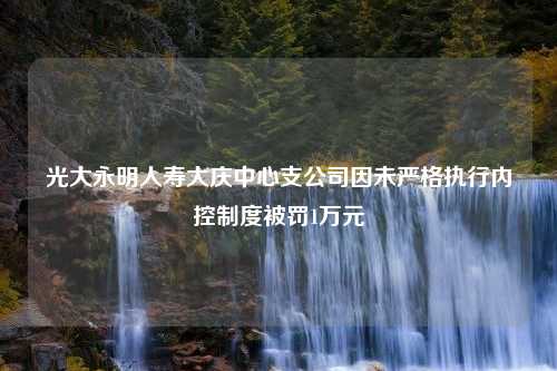 光大永明人寿大庆中心支公司因未严格执行内控制度被罚1万元