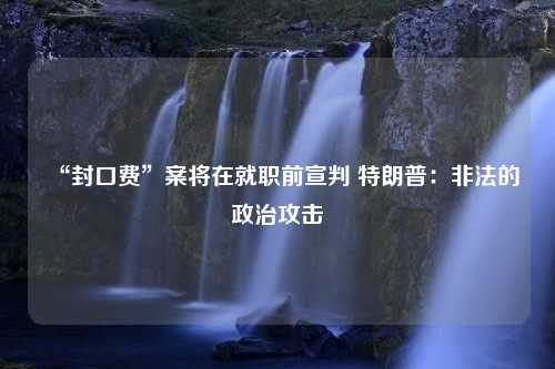 “封口费”案将在就职前宣判 特朗普：非法的政治攻击