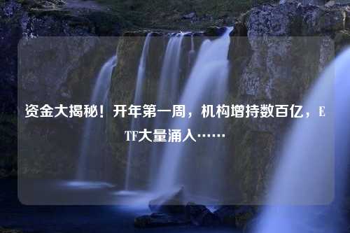 资金大揭秘！开年第一周，机构增持数百亿，ETF大量涌入……