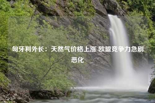 匈牙利外长：天然气价格上涨 欧盟竞争力急剧恶化