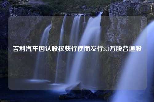 吉利汽车因认股权获行使而发行3.1万股普通股