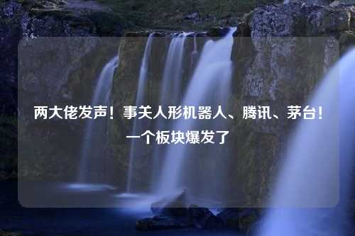 两大佬发声！事关人形机器人、腾讯、茅台！一个板块爆发了