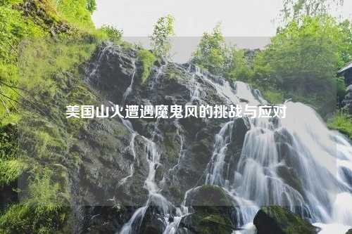 美国山火遭遇魔鬼风的挑战与应对