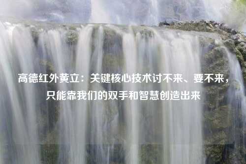 高德红外黄立：关键核心技术讨不来、要不来，只能靠我们的双手和智慧创造出来