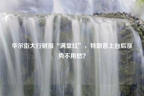 华尔街大行财报“满堂红”，特朗普上台后涨势不用愁？