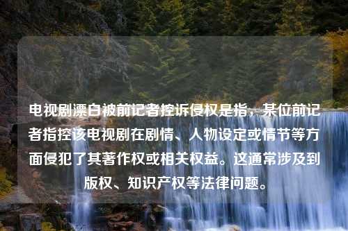 电视剧漂白被前记者控诉侵权是指，某位前记者指控该电视剧在剧情、人物设定或情节等方面侵犯了其著作权或相关权益。这通常涉及到版权、知识产权等法律问题。