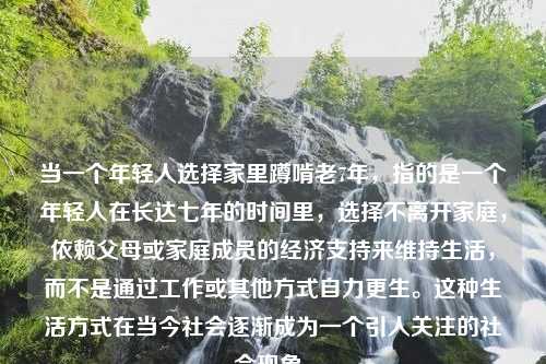 当一个年轻人选择家里蹲啃老7年，指的是一个年轻人在长达七年的时间里，选择不离开家庭，依赖父母或家庭成员的经济支持来维持生活，而不是通过工作或其他方式自力更生。这种生活方式在当今社会逐渐成为一个引人关注的社会现象。