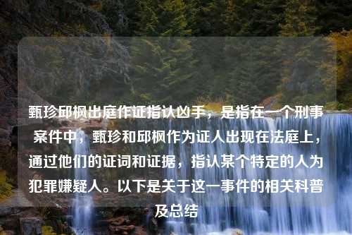 甄珍邱枫出庭作证指认凶手，是指在一个刑事案件中，甄珍和邱枫作为证人出现在法庭上，通过他们的证词和证据，指认某个特定的人为犯罪嫌疑人。以下是关于这一事件的相关科普及总结