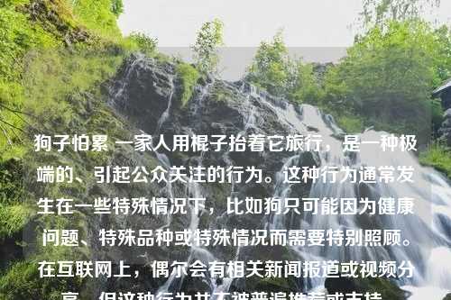 狗子怕累 一家人用棍子抬着它旅行，是一种极端的、引起公众关注的行为。这种行为通常发生在一些特殊情况下，比如狗只可能因为健康问题、特殊品种或特殊情况而需要特别照顾。在互联网上，偶尔会有相关新闻报道或视频分享，但这种行为并不被普遍推荐或支持。