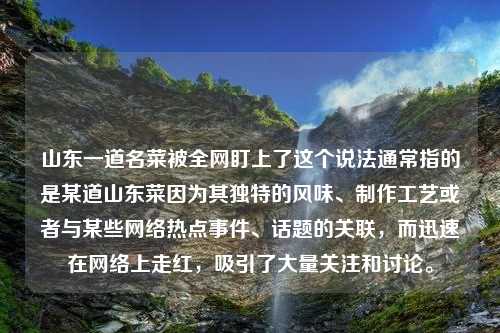 山东一道名菜被全网盯上了这个说法通常指的是某道山东菜因为其独特的风味、制作工艺或者与某些网络热点事件、话题的关联，而迅速在网络上走红，吸引了大量关注和讨论。