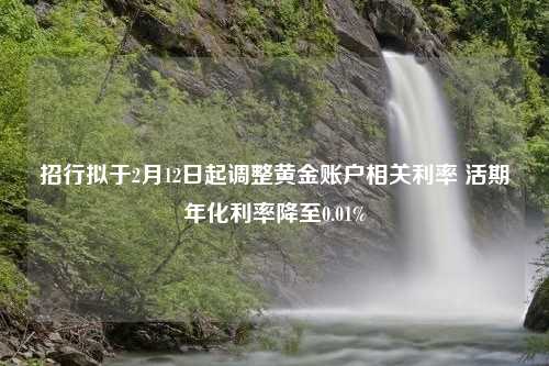 招行拟于2月12日起调整黄金账户相关利率 活期年化利率降至0.01%