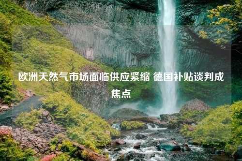 欧洲天然气市场面临供应紧缩 德国补贴谈判成焦点