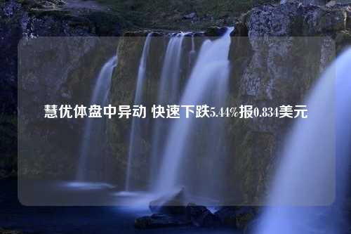 慧优体盘中异动 快速下跌5.44%报0.834美元