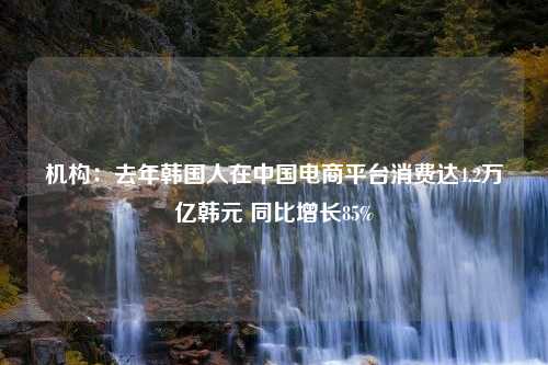 机构：去年韩国人在中国电商平台消费达4.2万亿韩元 同比增长85%