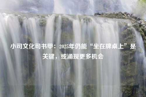 小司文化司书甲：2025年仍能“坐在牌桌上”是关键，或涌现更多机会