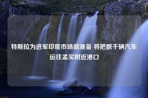 特斯拉为进军印度市场做准备 将把数千辆汽车运往孟买附近港口