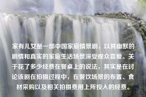 家有儿女是一部中国家庭情景剧，以其幽默的剧情和真实的家庭生活场景深受观众喜爱。关于花了多少经费在餐桌上的说法，其实是在讨论该剧在拍摄过程中，在餐饮场景的布置、食材采购以及相关拍摄费用上所投入的经费。