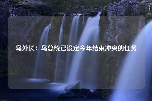 乌外长：乌总统已设定今年结束冲突的任务